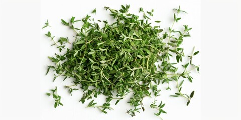 Obraz premium A close-up shot of a cluster of green sprouts growing on a white background
