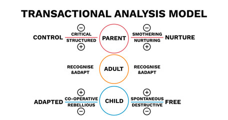 Transactional analysis model chart. Emotional of positive parenting with model of trust protection and fear elimination with stressful vector interactions