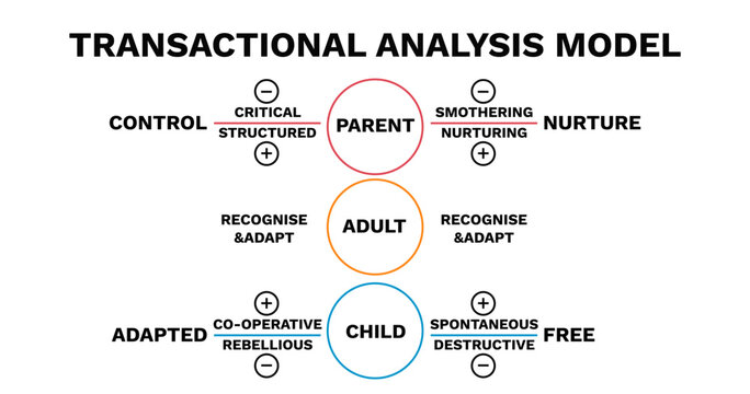 Transactional analysis model chart. Emotional of positive parenting with model of trust protection and fear elimination with stressful vector interactions