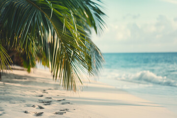 Fototapeta premium Beach, with natural light, in the style of summer, palm, peaceful