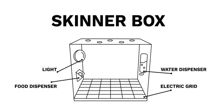 Skinner box. Laboratory chamber for animals with light and supply of food and feed for studies of conditioned reflexes and vector experiments