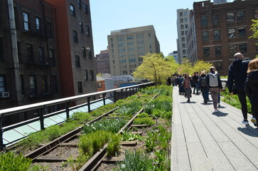 Nowy Jork, trasa spacerowa High Line wiosną
