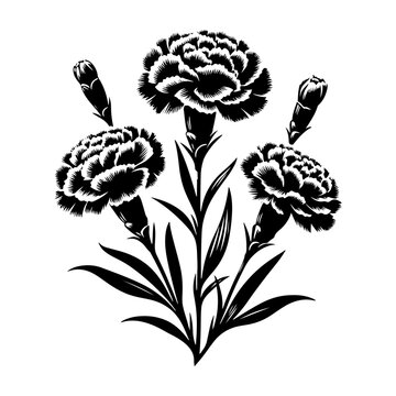 black carnations floral arrangement on white clip art preview