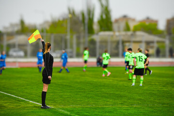 Assistant football referee and Referee's flag