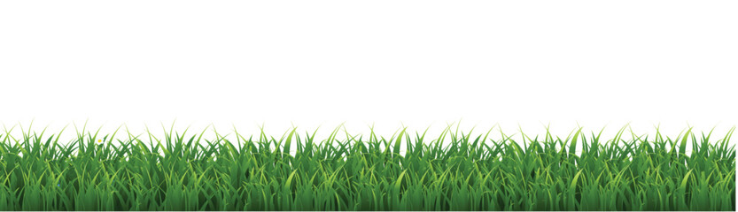 eGreenGrassFrameIsolatedWhiteBackground_8_240605.eps