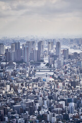 Tokyo city skyline