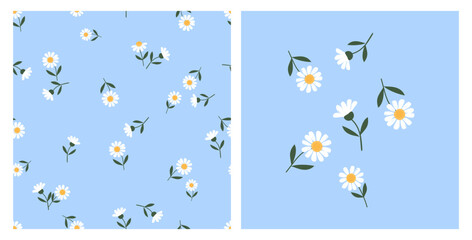 Seamless pattern of daisy chamomile flower with green leaves on blue background. Daisy icon set vector.