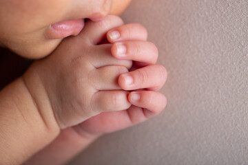 Tiny little hands newborn human baby parenting motherhood