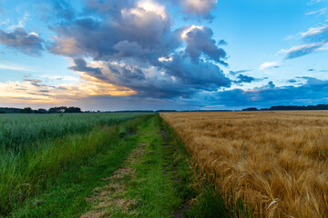 pola uprawne i droga © Marek