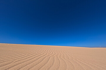 Naklejka premium Sand dune in the desert with blue sky