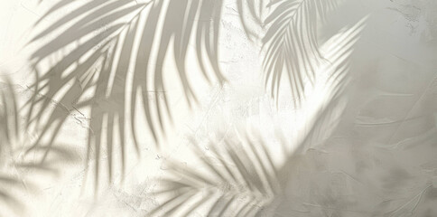 Serene Palm Tree Shadow on White Abstract Background in Soft Beige and Gray - Flat Lay Composition with Blurred Elements