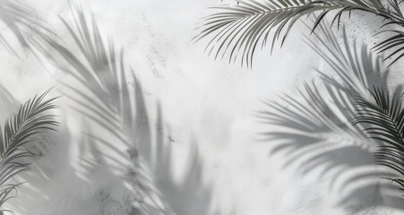 Serene Minimalist Aesthetic with Delicate Palm Tree Shadows on Light Gray Background