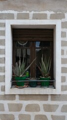 Façade of a house in a rural area. Window with plants.