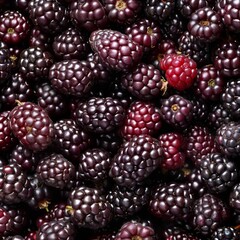 Morus texture background, mulberries fruits pattern, many mul berries mockup, berries banner, black berry