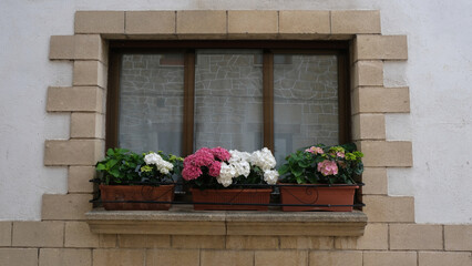 Façade of a house in a rural area. Window with plants.