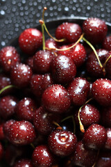 Cherry berries on a black background, close-up. Wet sweet ripe cherries. Dark red cherries with green stems covered with fine splashes of water. Summer berries, vitamins. Background