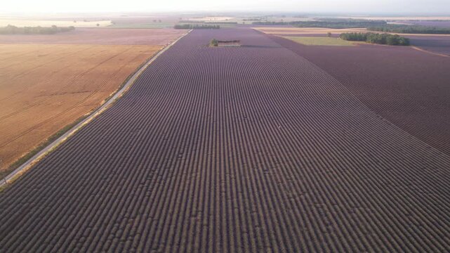 un batiment au milieu des champs en vue a&eacute;rienne, agriculture sur le plateau de Valensole - Provence France