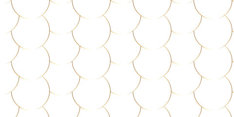 Modern abstract white background with transparent layers circle shape with shadow. Modern and geometric design with paper circle white background texture design. cover, book, website design.