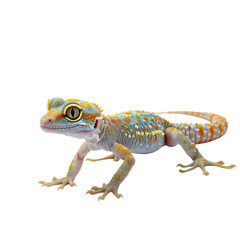 Fototapeta premium Photo of Gecko isolated on transparent background