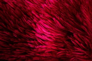 A close up of a red fur texture