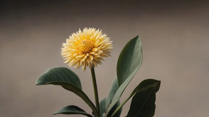 Fototapeta premium Marigolds, Cempasuchil. mexican flowers in Day of the Dead Mexico