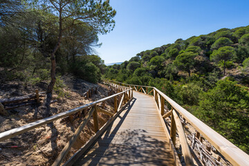 Fototapeta premium Arco Atantico, Pinar El Chaparral, Parque Natural del Estrecho, Tarifa, Andalusia, Spain, Europe