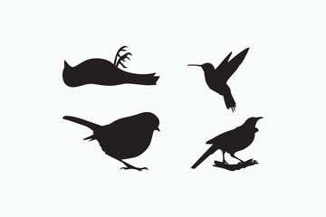 Bird silhouette vector style with white background