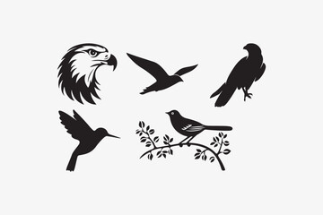 Bird silhouette vector style with white background