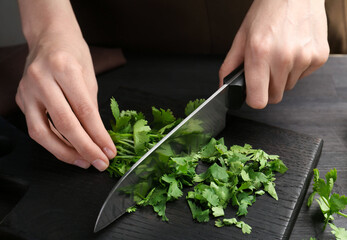 Woman cutting fresh coriander at black wooden table, closeup