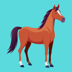 horse illustration