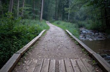 Obraz premium A wooden bridge spans a stream in a lush forest. The path ahead winds through the trees.