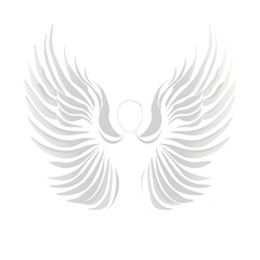 Fototapeta premium Minimalist Gray Angel Wings on White Background