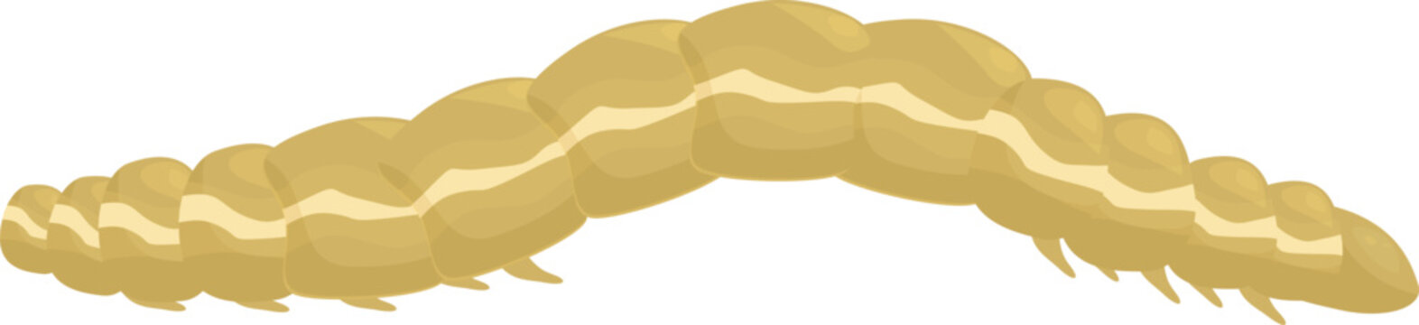 Wireworm larva moving slowly on a white background