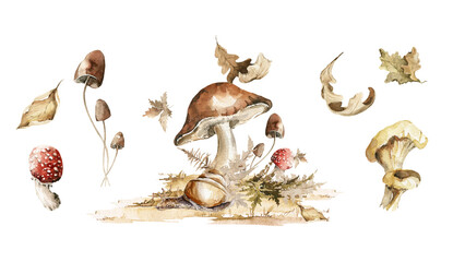 Obraz premium Watercolor floral composition. Hand painted autumn forest with leaves, fern, fall dried leaf, mushrooms, snail isolated on white background. illustration for card design, baby print, poster