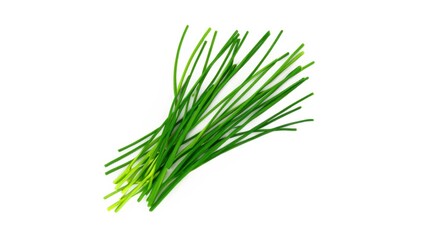 Chives on white background