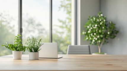 Modern minimalist workspace with a laptop, potted plants, and a wooden table.