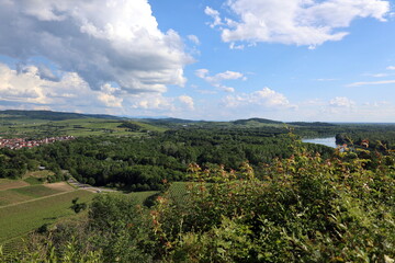Obraz premium Der Rhein uns Sasbach am Kaiserstuhl im Frühling