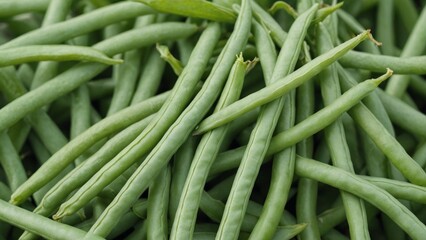 Lush Green Bean Harvest in the Garden