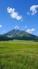 Fototapeta premium green field and mountains