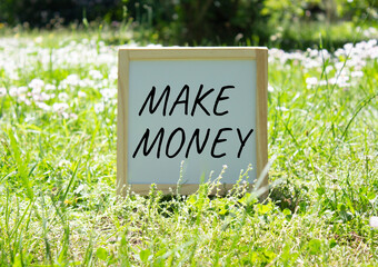 Make Money symbol. Concept word Make Money on white chalk background. Beautiful meadow background. Business and Make Money concept. Copy space