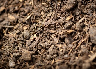just made compost texture 