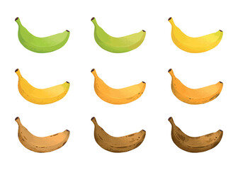 Banana ripeness stages. Different organic fruit peel color from green to brown, organic rotten and fresh ripe fruit. Vegetarian healthy food vector set of banana ripen and rot stage illustration