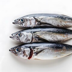 Three fresh fish on a white background