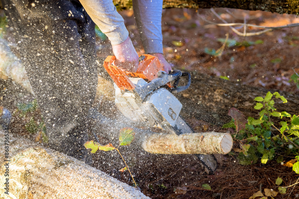 Sticker municipal worker is cutting fallen trees that have fallen as result of strong hurricane