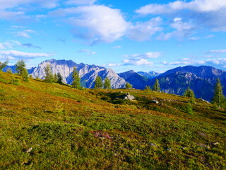 View on mountains in the Osttirol region on a summer day