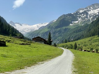 Berglandschaft in Salzburg