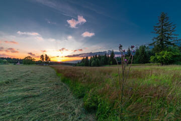 Fototapeta premium Flowers and meadows in Krusne mountains fresh color evening in Moldava village