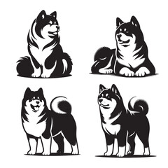 Vector Styled Akita Silhouette Set - Black and White Illustration, Akita Dog Breed Silhouettes, Akita Dog silhouettes in sitting , running and standing pose