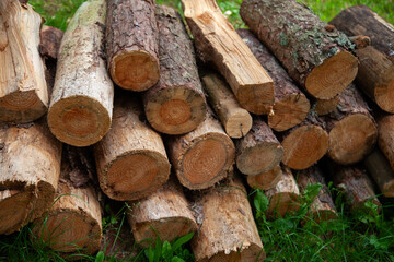 Naklejka premium stack of firewood