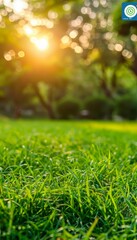 Fototapeta premium Lush green grass in close up with softly blurred garden background for serene natural view